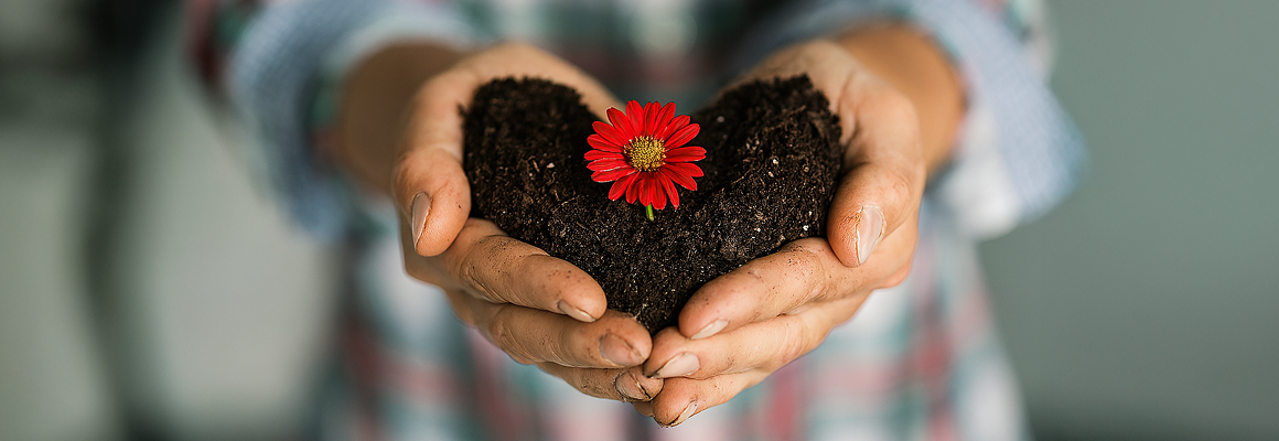 Dłonie trzymające ziemię w kształcie serca z kwiatem symbolizujące rozwój i nadzieję Fundacji Forward